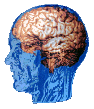Brain Research Institute logo